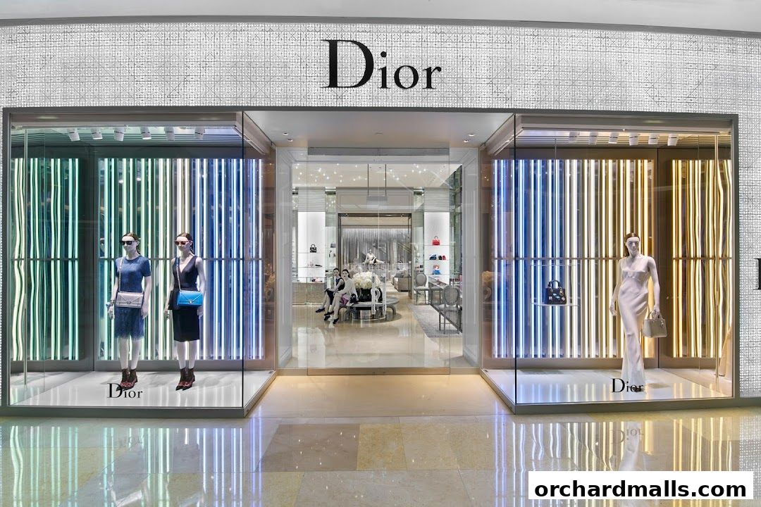 The elegant Dior boutique entrance with mannequins showcasing handbags and dresses.