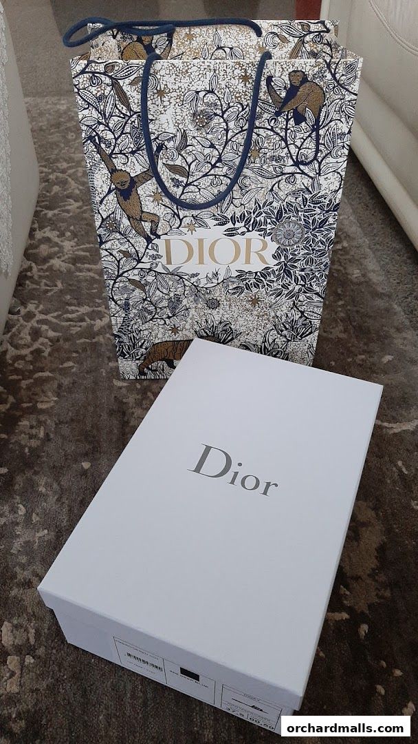 Dior shopping bag and shoebox with intricate patterns and branding.