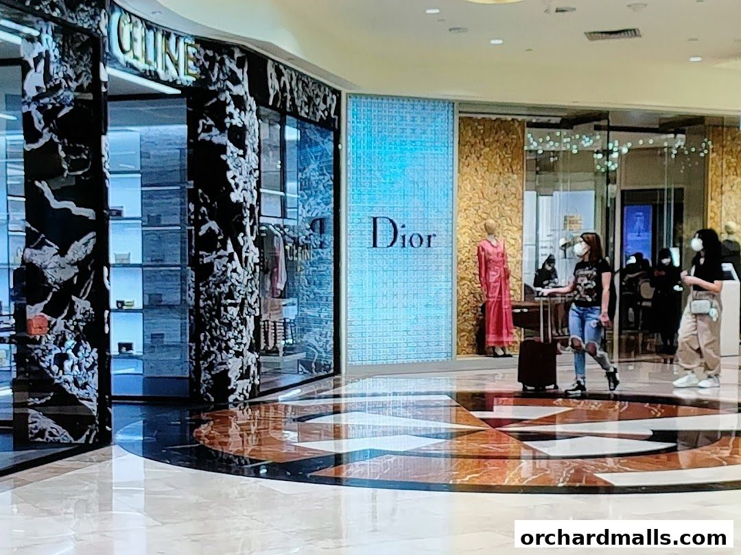 The Dior store entrance with mannequins and shoppers in a mall.