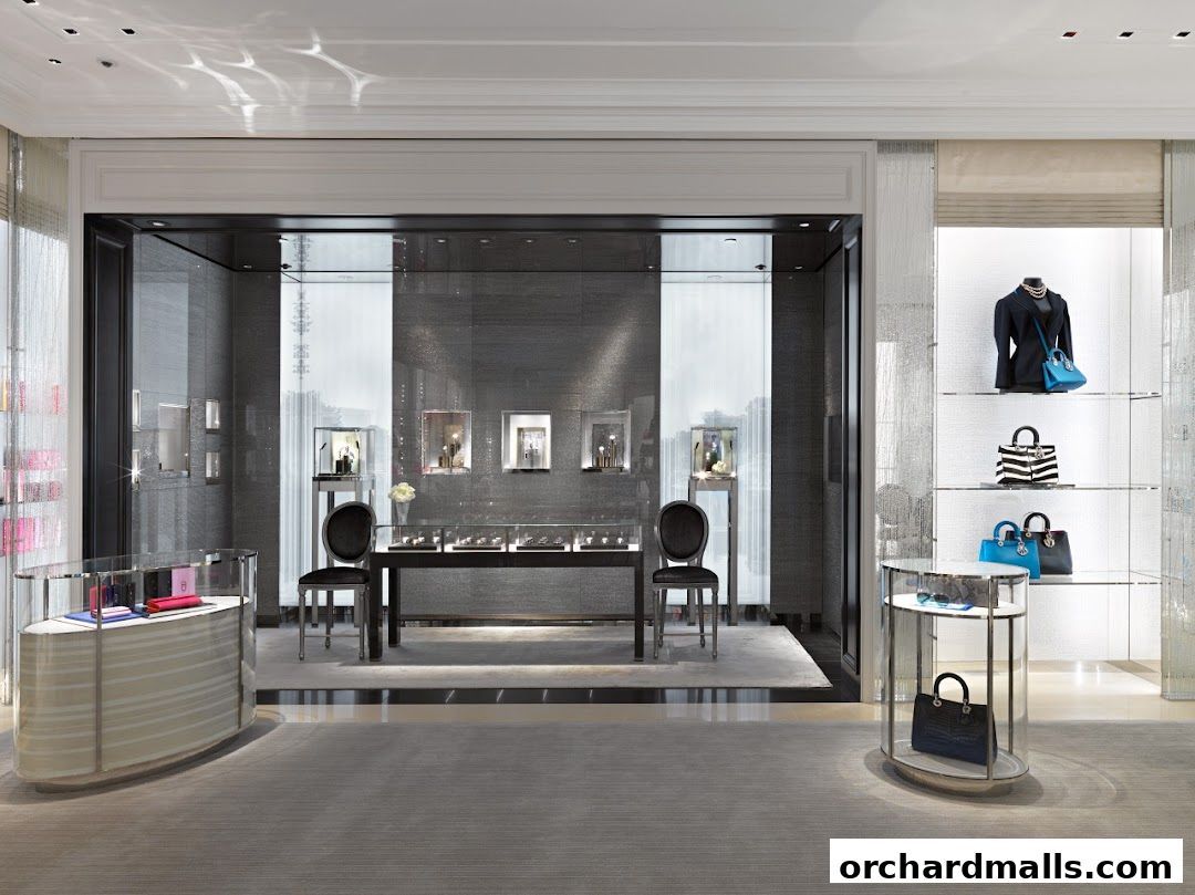 Interior view of a luxurious Dior boutique showcasing handbags and jewelry in display cases.