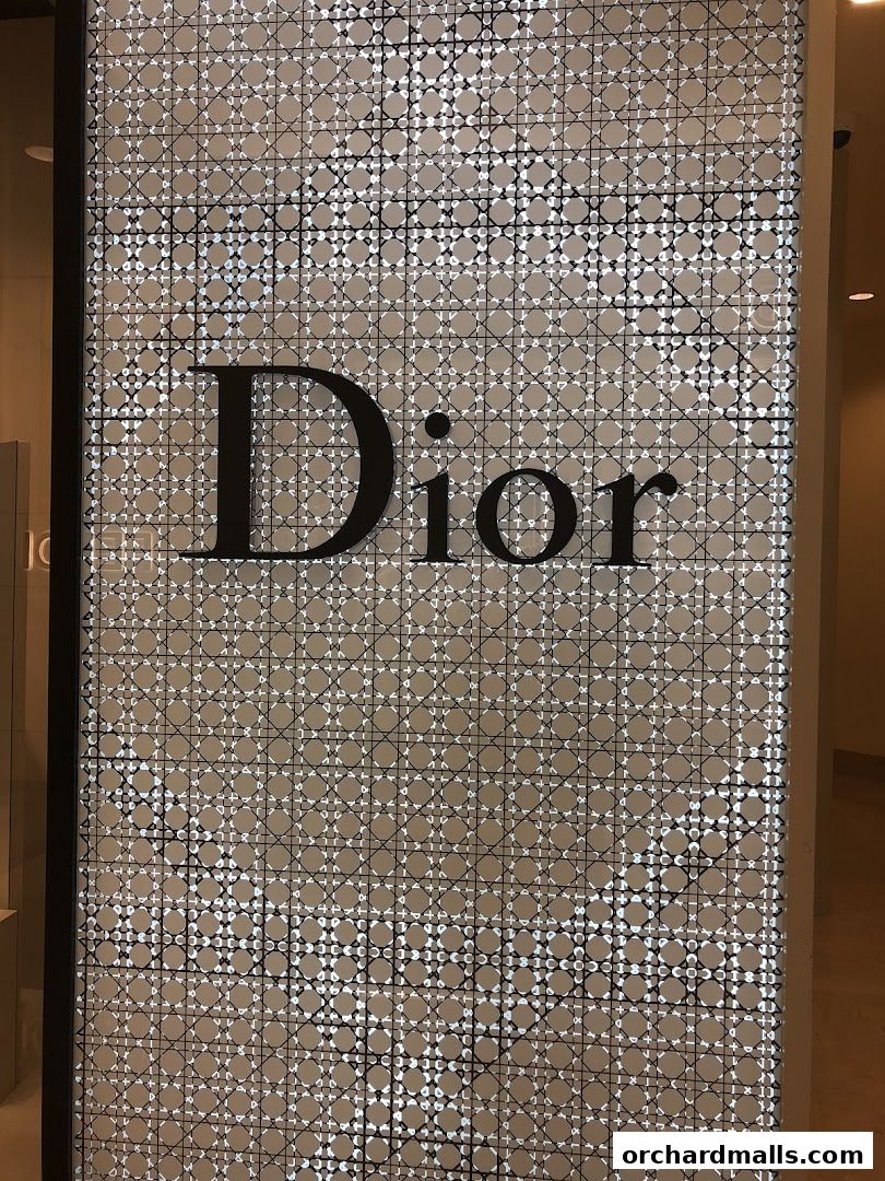 The iconic Dior logo displayed prominently on a patterned facade.