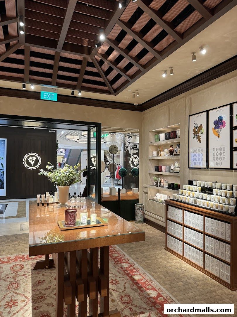 Interior view of a Diptyque shop showcasing candles and fragrances.