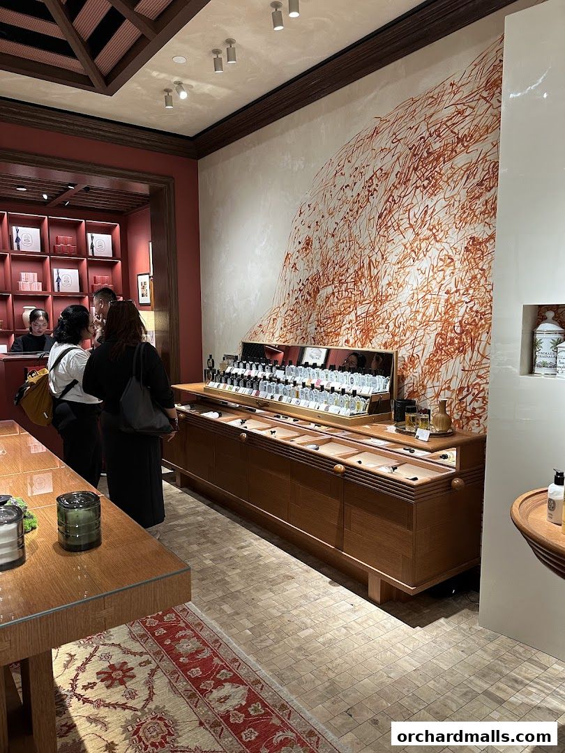 Interior view of a Diptyque store showcasing perfume bottles and elegant displays.
