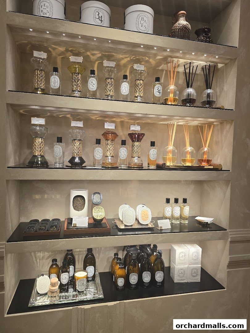 Shelves display Diptyque perfumes, diffusers, candles, and home fragrances.