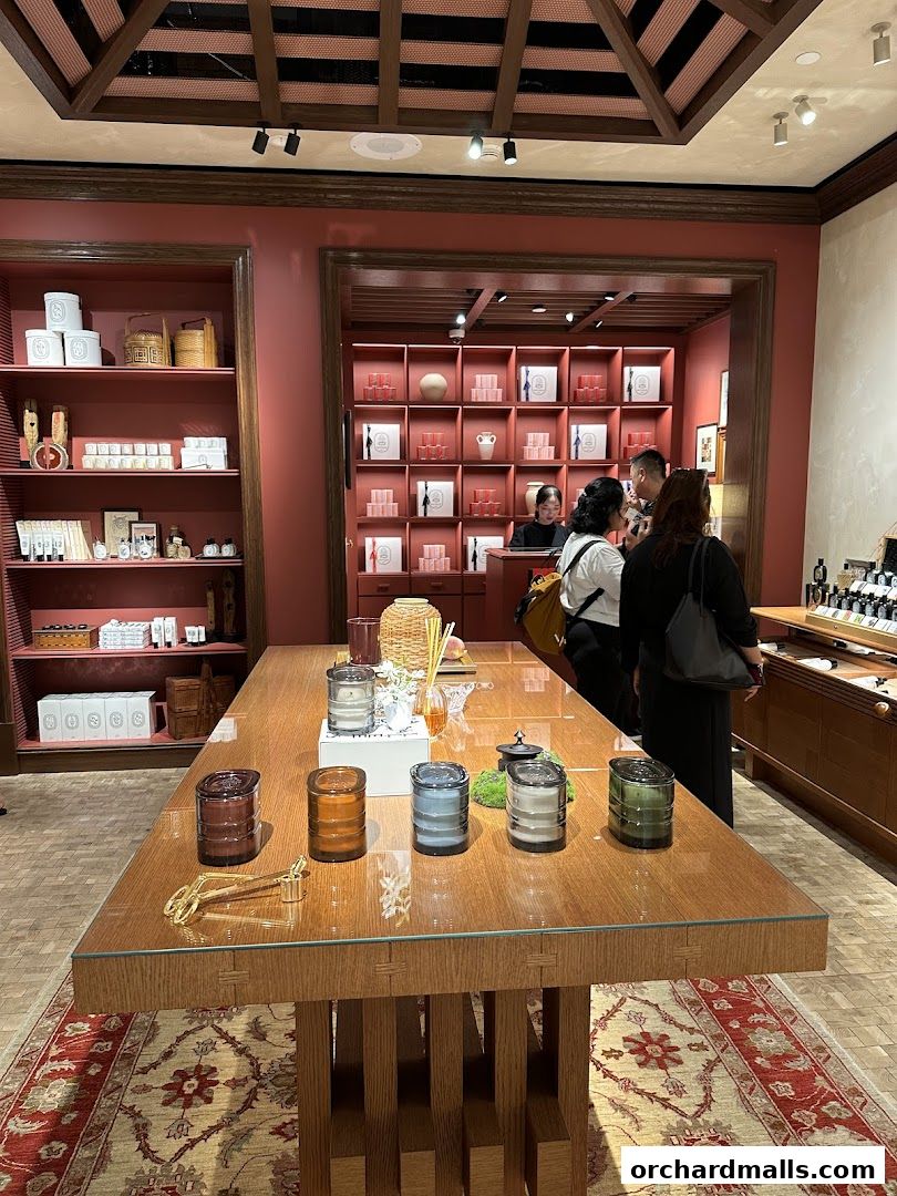 Interior of a Diptyque store showcasing candles and home fragrance products.