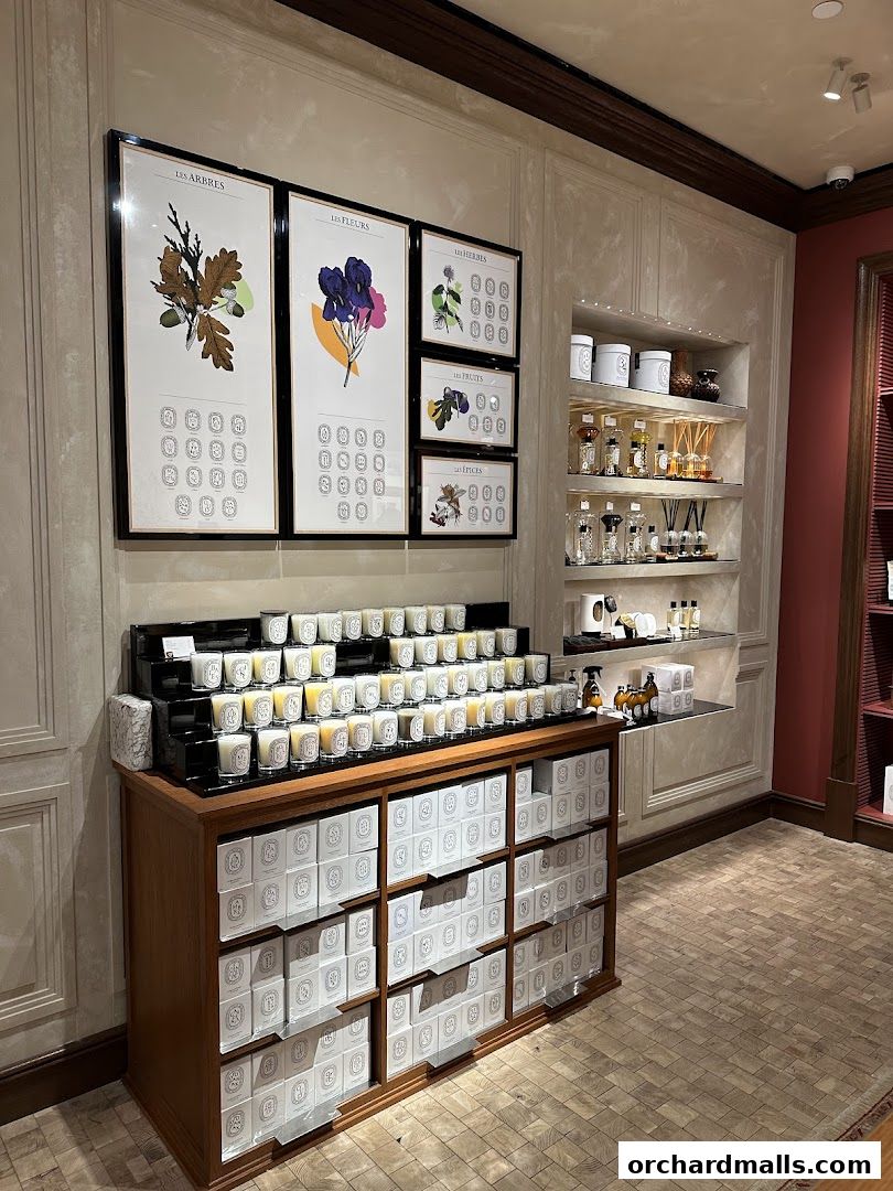 A display of Diptyque candles and artwork in a retail store.