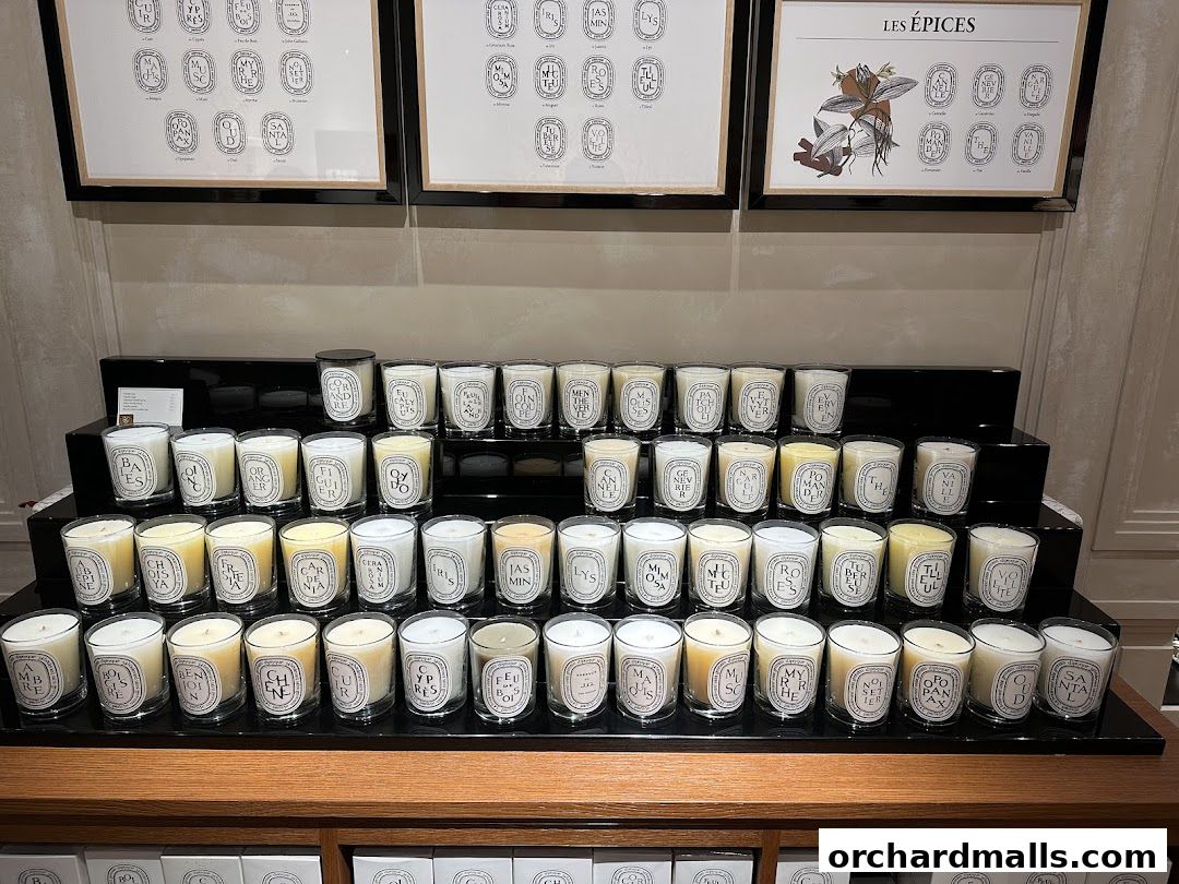 A display of Diptyque candles arranged on tiered shelves with artwork above.
