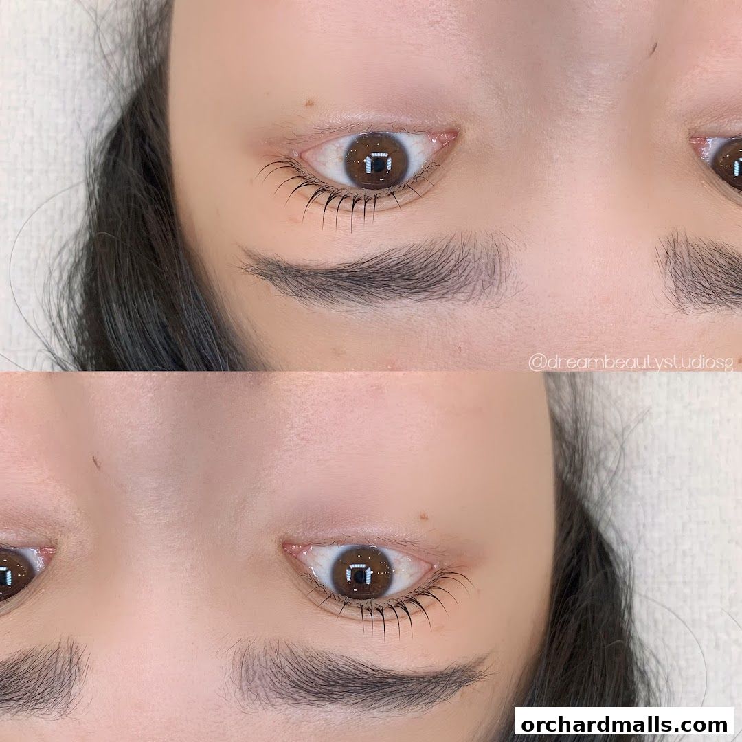 Close-up of a woman's eyes showcasing beautifully lifted and curled eyelashes.
