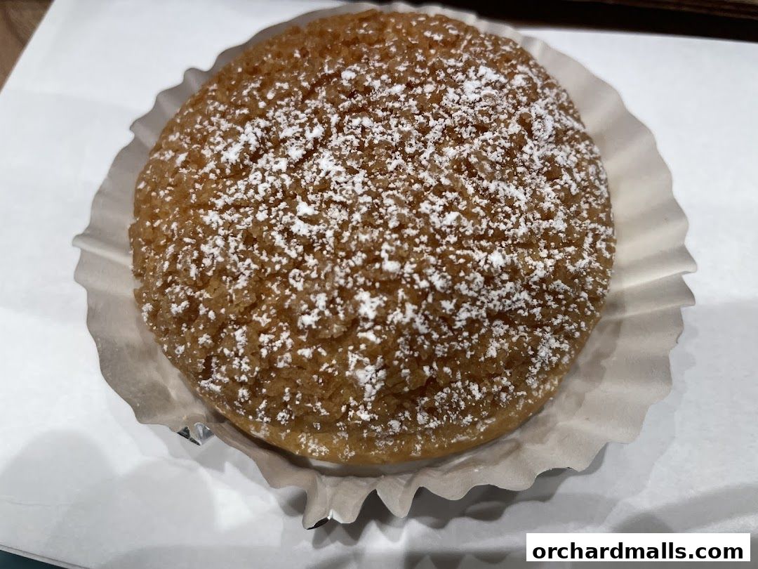 A close-up shot of a delicious cream puff dusted with powdered sugar.