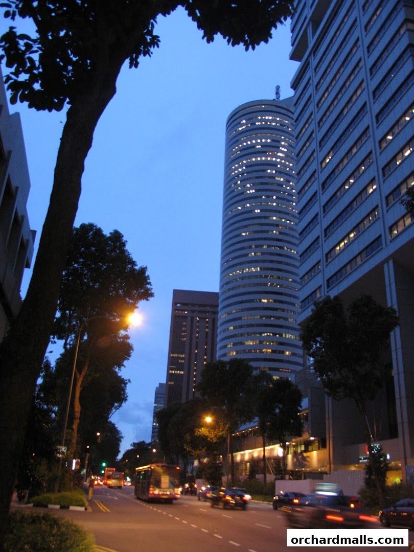 Dynasty Travel International Pte Ltd