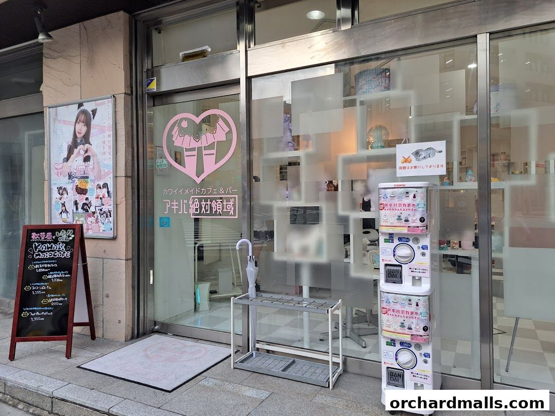 Dynasty Travel International Pte Ltd