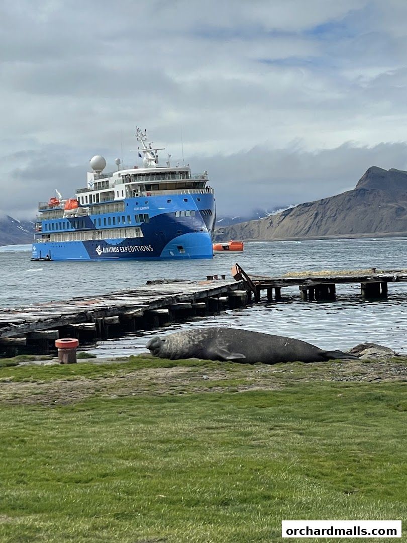 Dynasty Travel International Pte Ltd