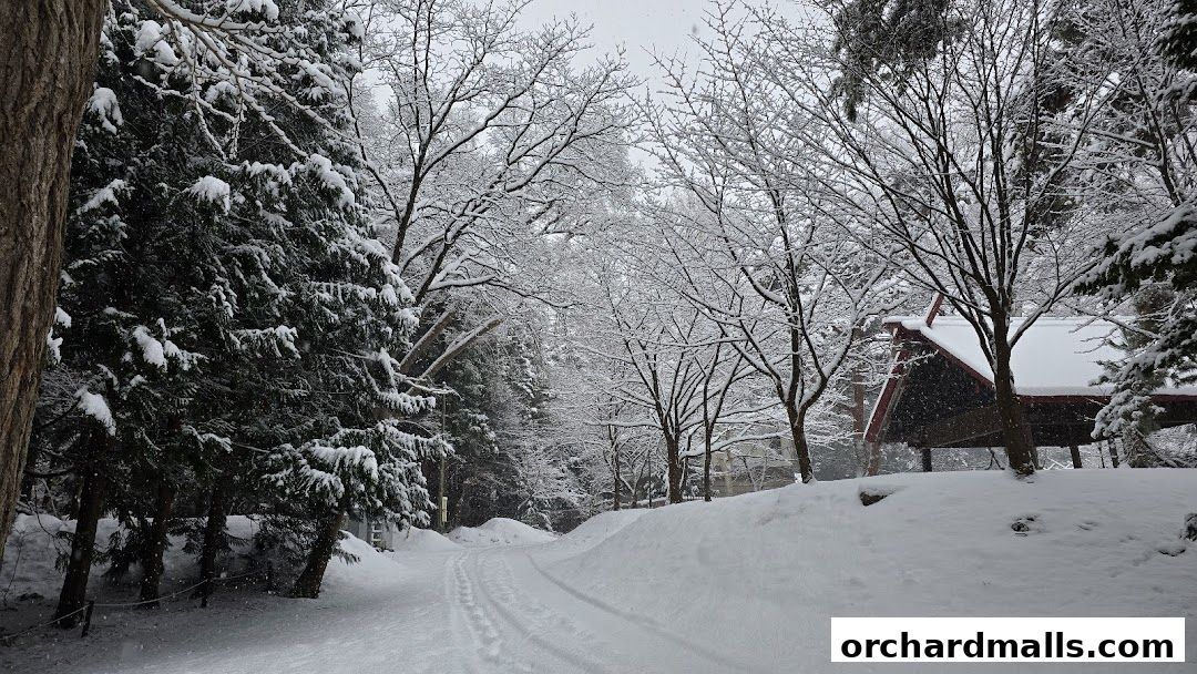 Dynasty Travel International Pte Ltd