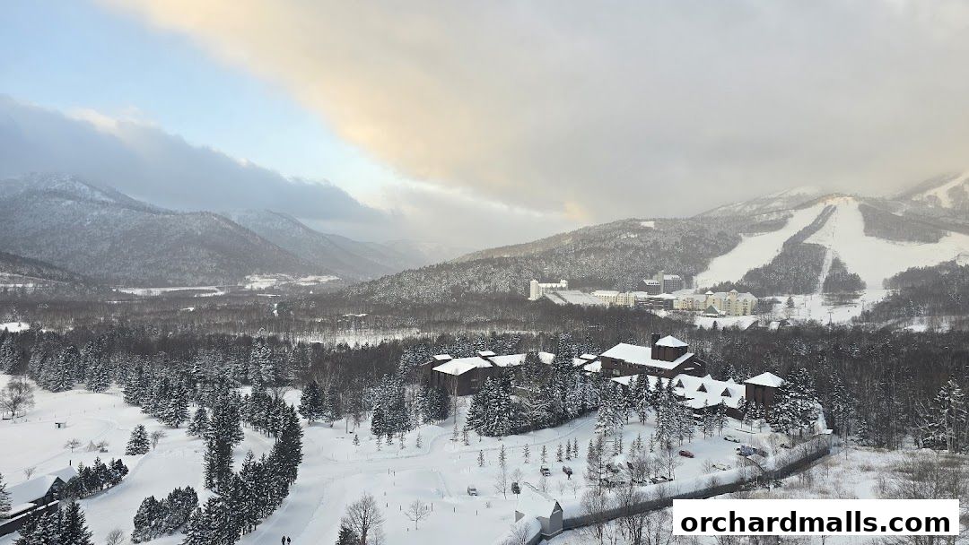 Dynasty Travel International Pte Ltd