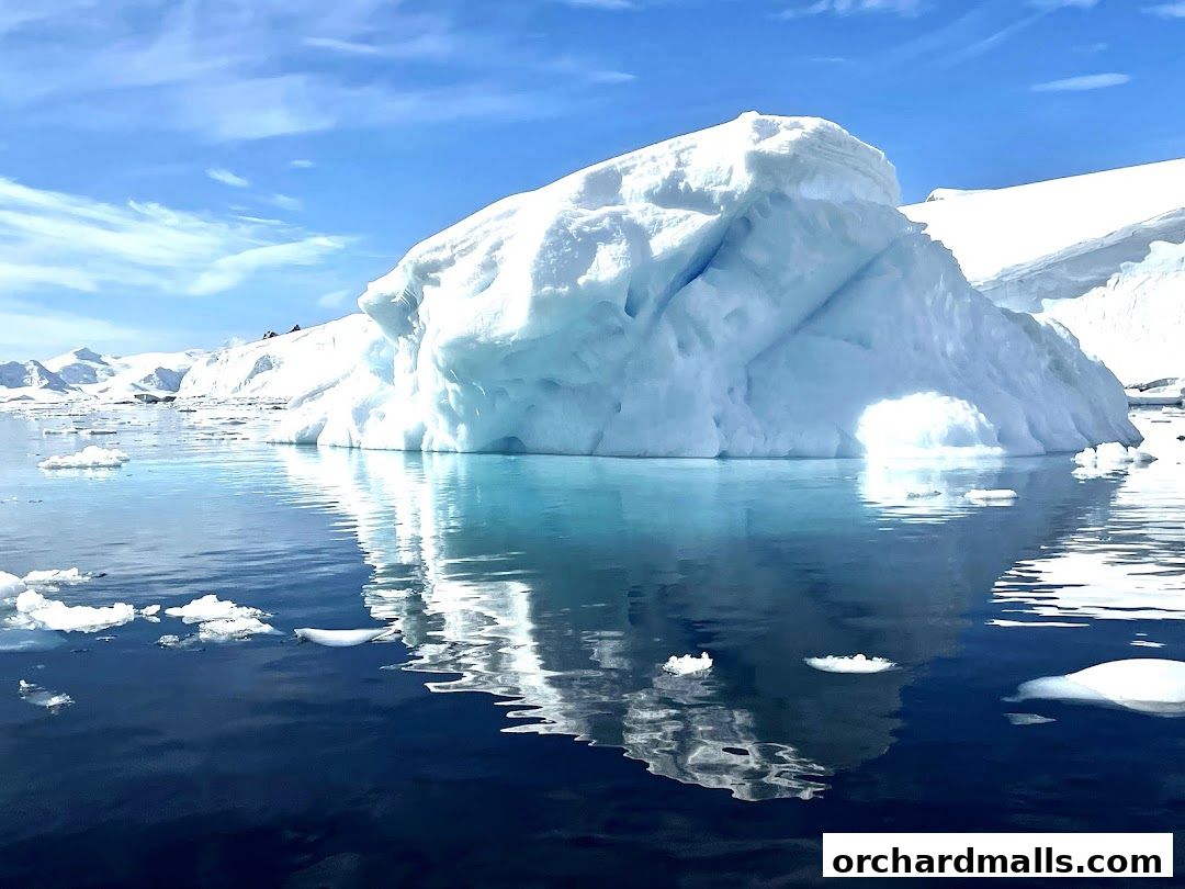 Dynasty Travel International Pte Ltd