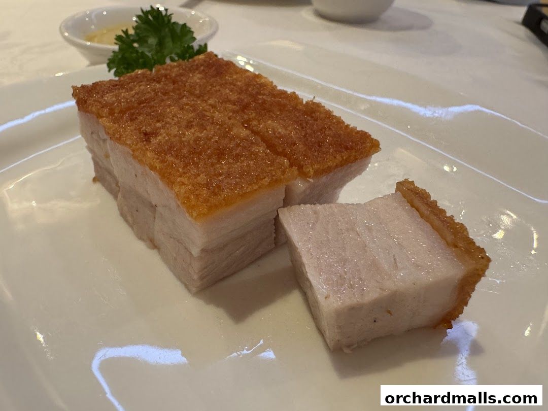 Crispy roasted pork belly with a side of sauce and garnish on a white plate.
