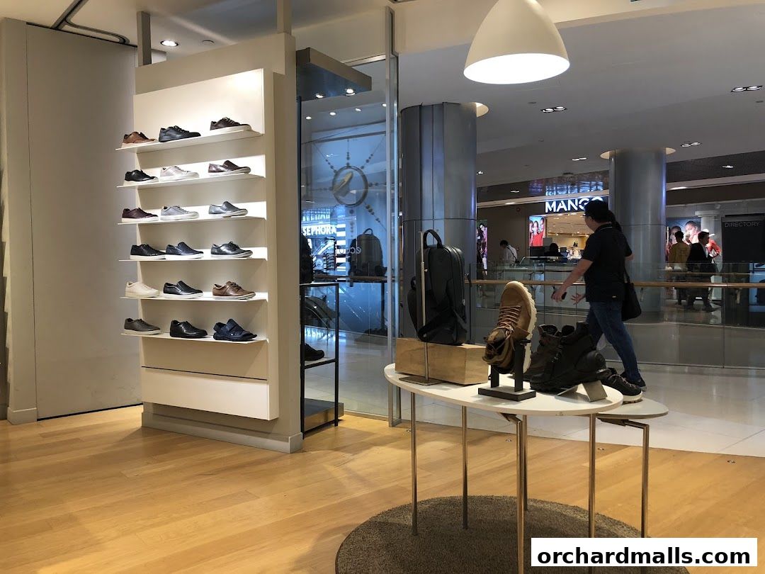 Interior view of a shoe store with shelves of footwear and display tables.