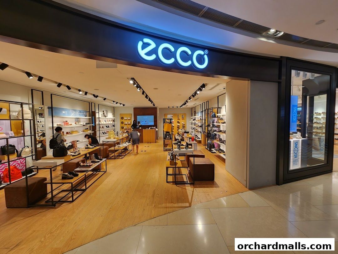 Interior view of the ECCO shoe store with shoes displayed on shelves and racks.