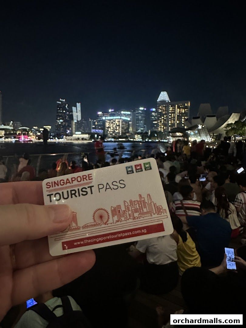 A hand holds a Singapore Tourist Pass with a cityscape in the background at night.