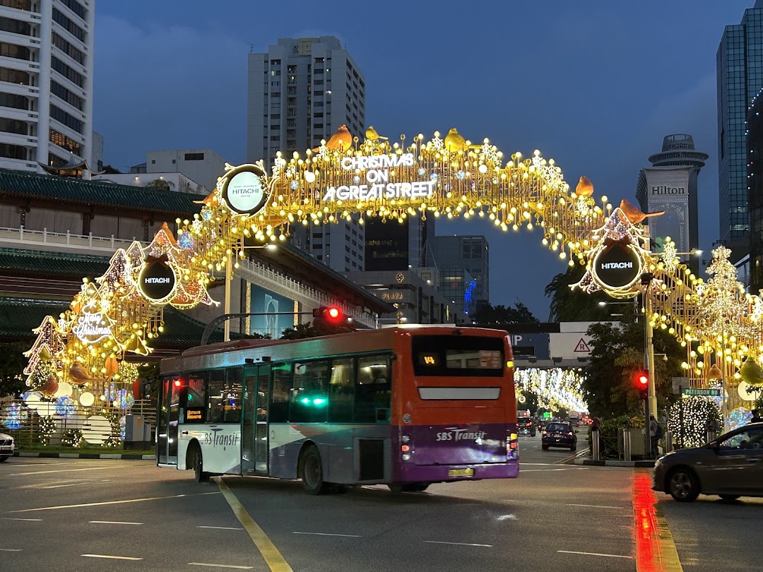 ECCO ION Orchard