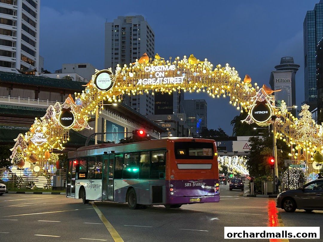 A street decorated with Christmas lights and a bus passing by.