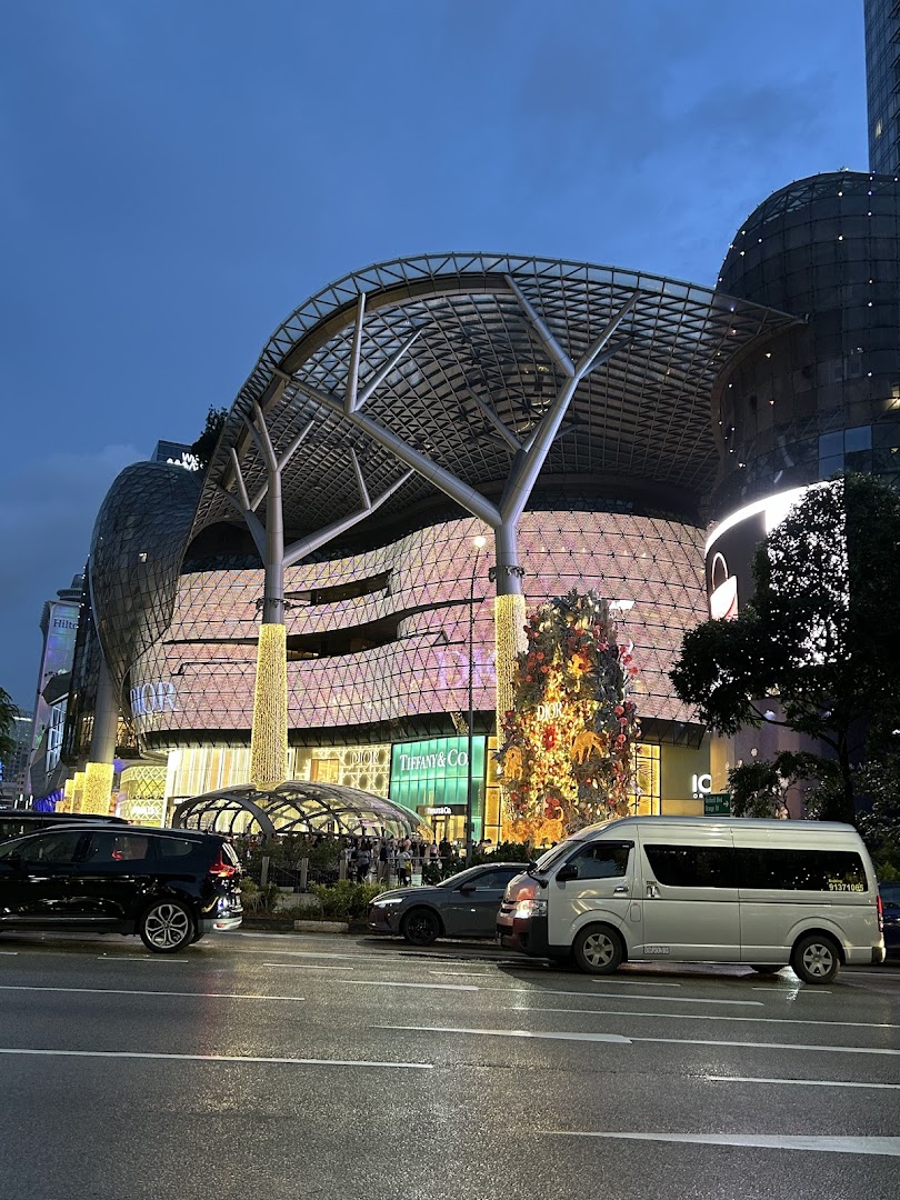 ECCO ION Orchard