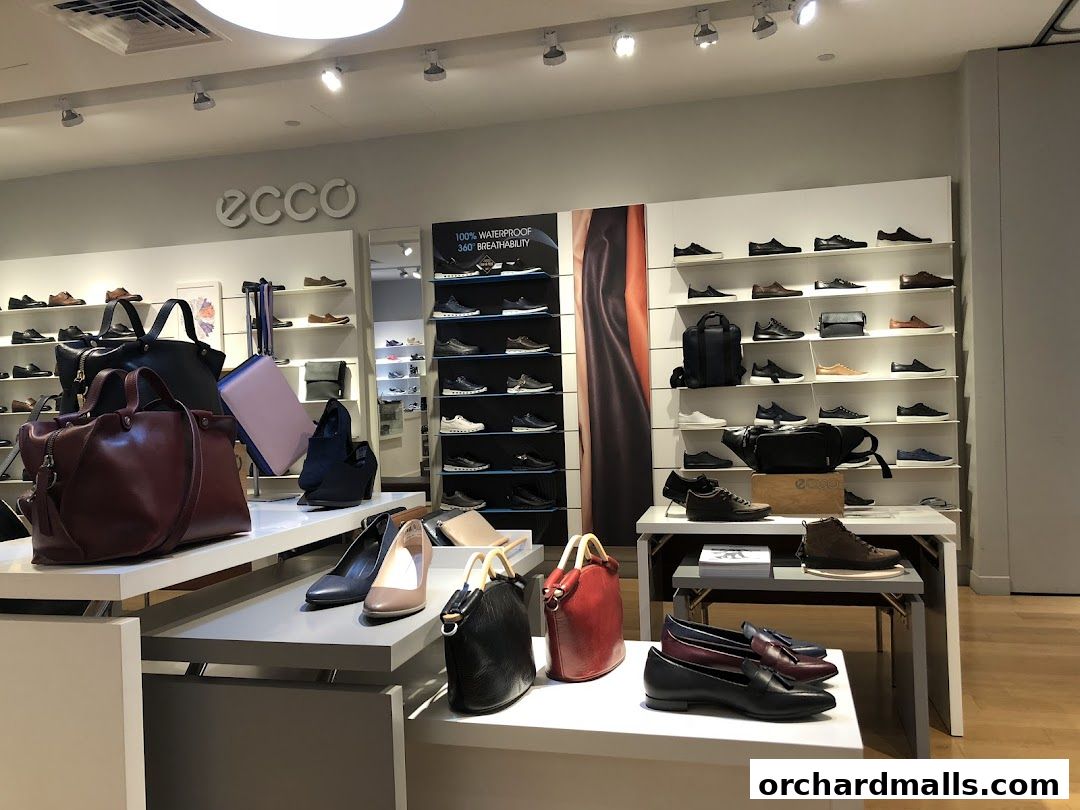 Interior view of an ECCO shoe store showcasing various footwear and handbags.