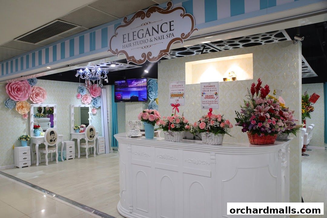 Elegance Hair Studio  Nail Spa