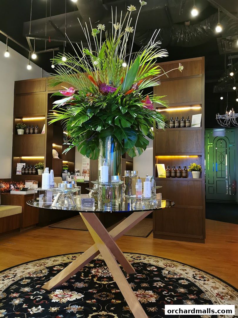 Elements Wellness 313Somerset Orchard