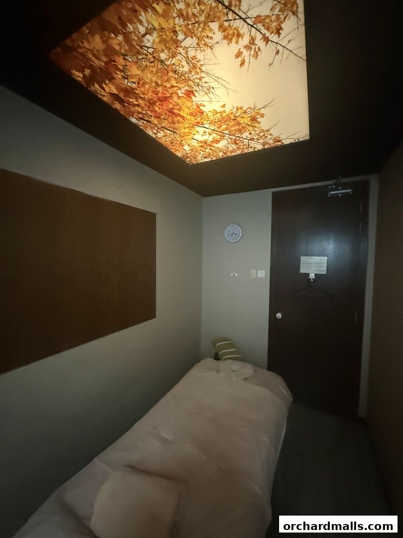 Elements Wellness 313Somerset Orchard