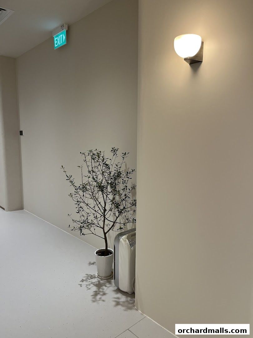 elixir clinic The Cathay Medical Aesthetics  Pico Laser  RF Microneedling  HIFU  BTX  Fillers  Skinboosters