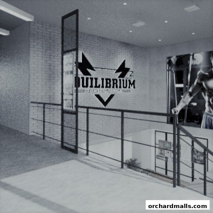 Equilibrium Mixed Martial Arts