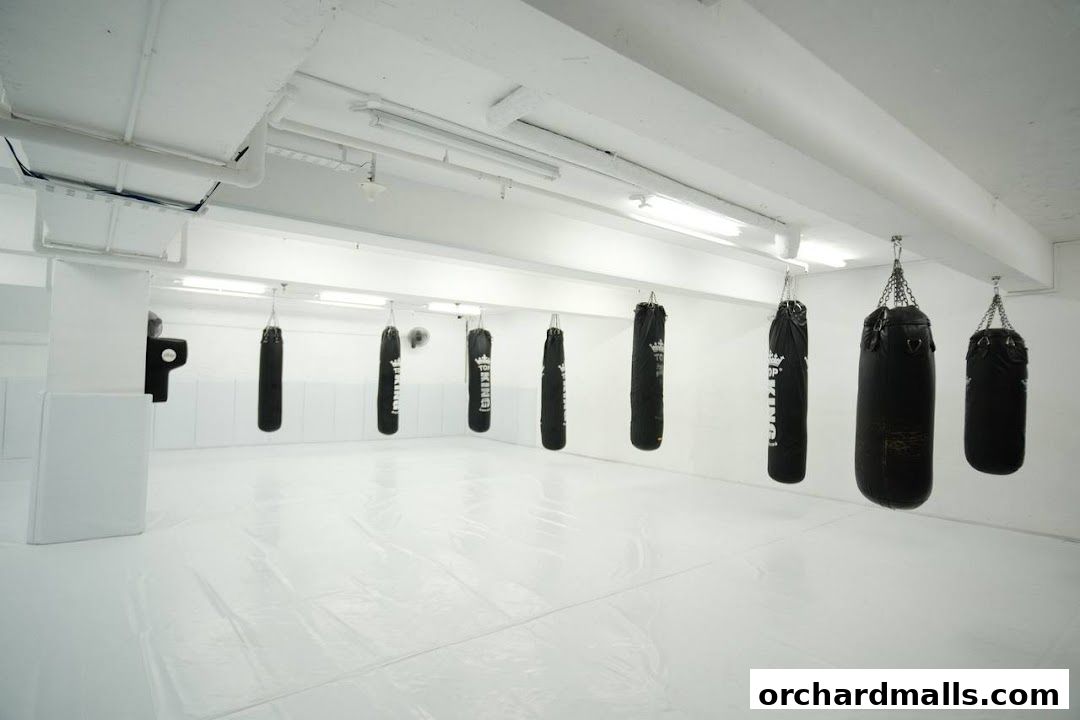 Equilibrium Mixed Martial Arts