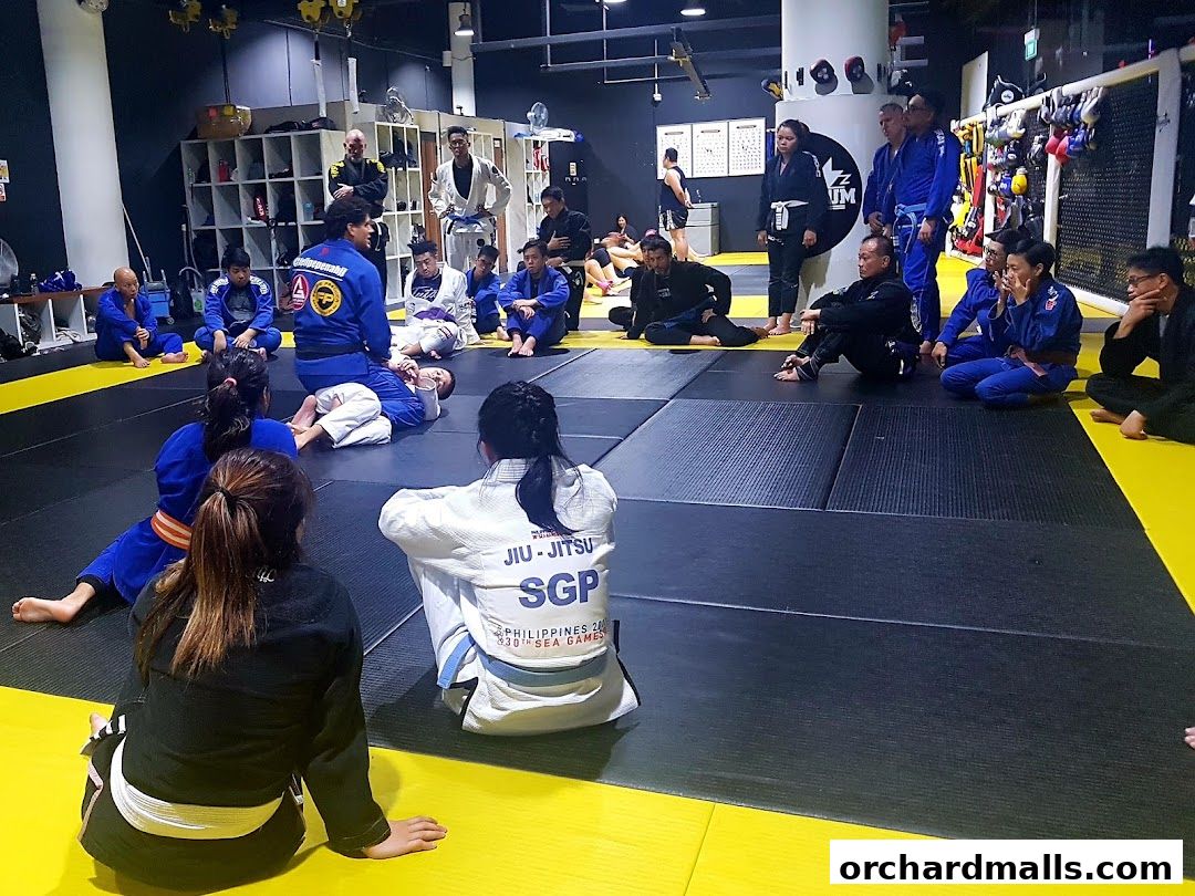 Equilibrium Mixed Martial Arts