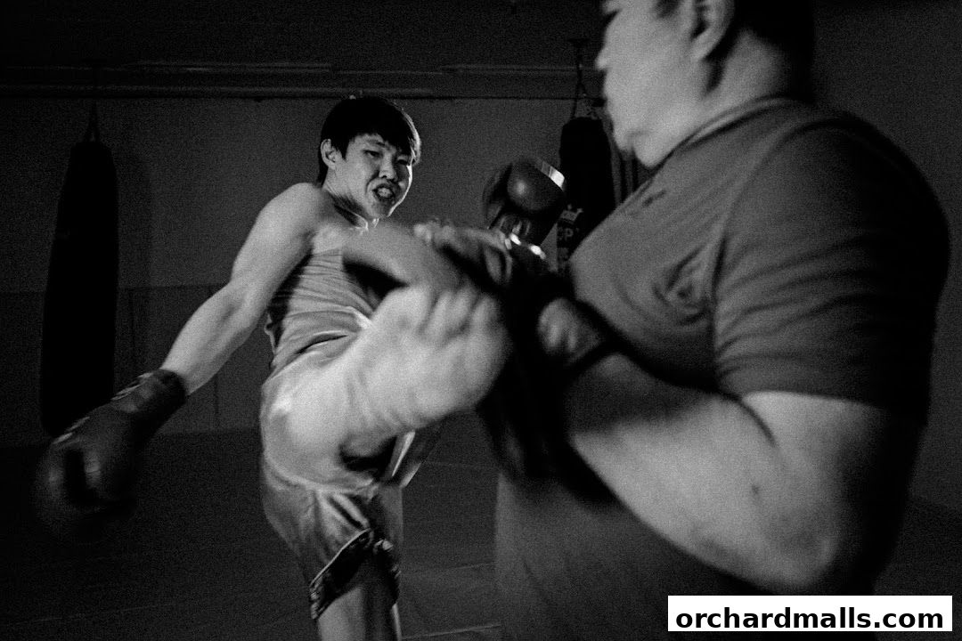 Equilibrium Mixed Martial Arts