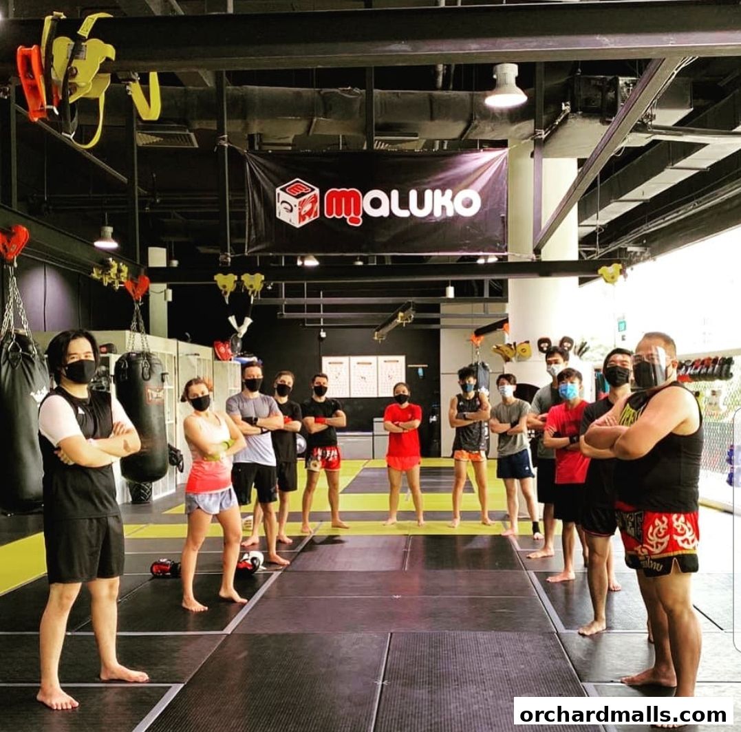 Equilibrium Mixed Martial Arts