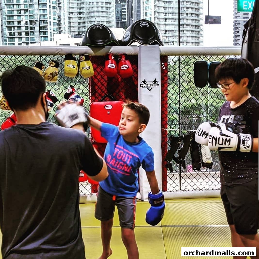 Equilibrium Mixed Martial Arts