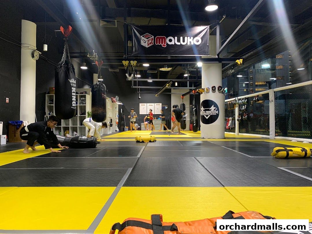 Equilibrium Mixed Martial Arts