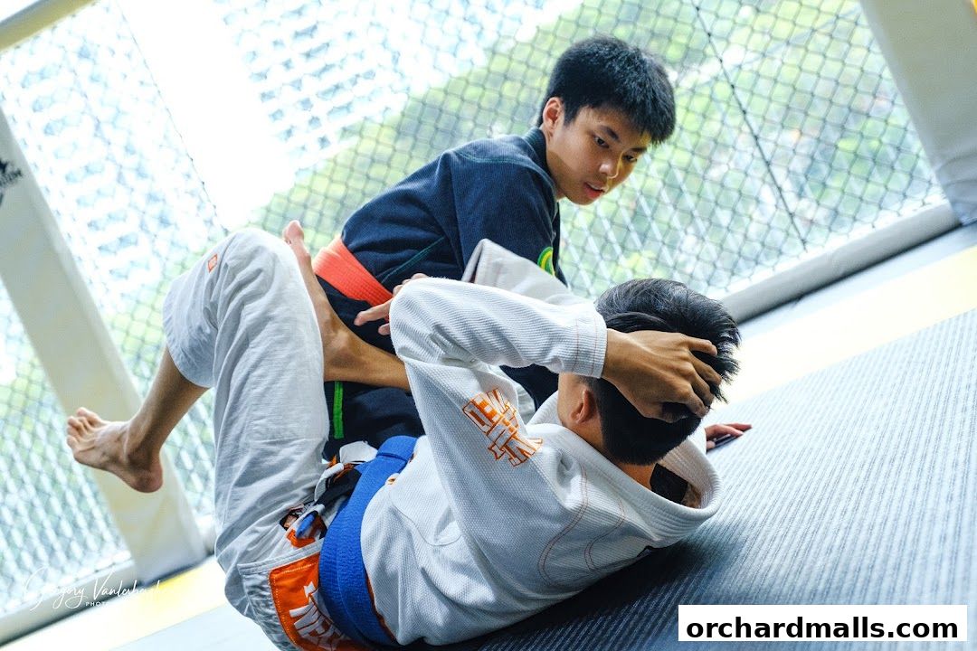 Equilibrium Mixed Martial Arts