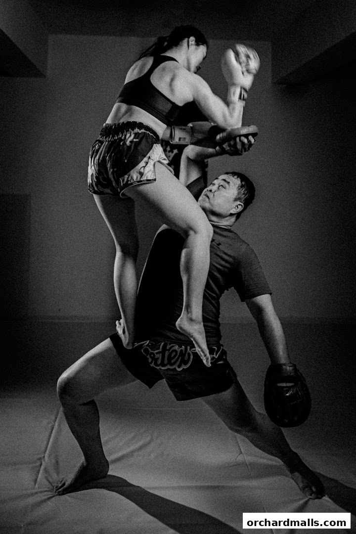 Equilibrium Mixed Martial Arts