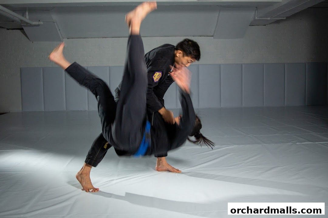 Equilibrium Mixed Martial Arts