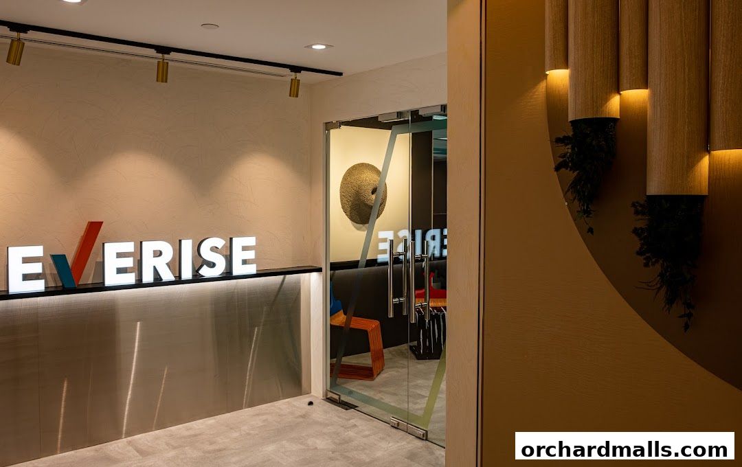 Everise Holdings Pte Ltd