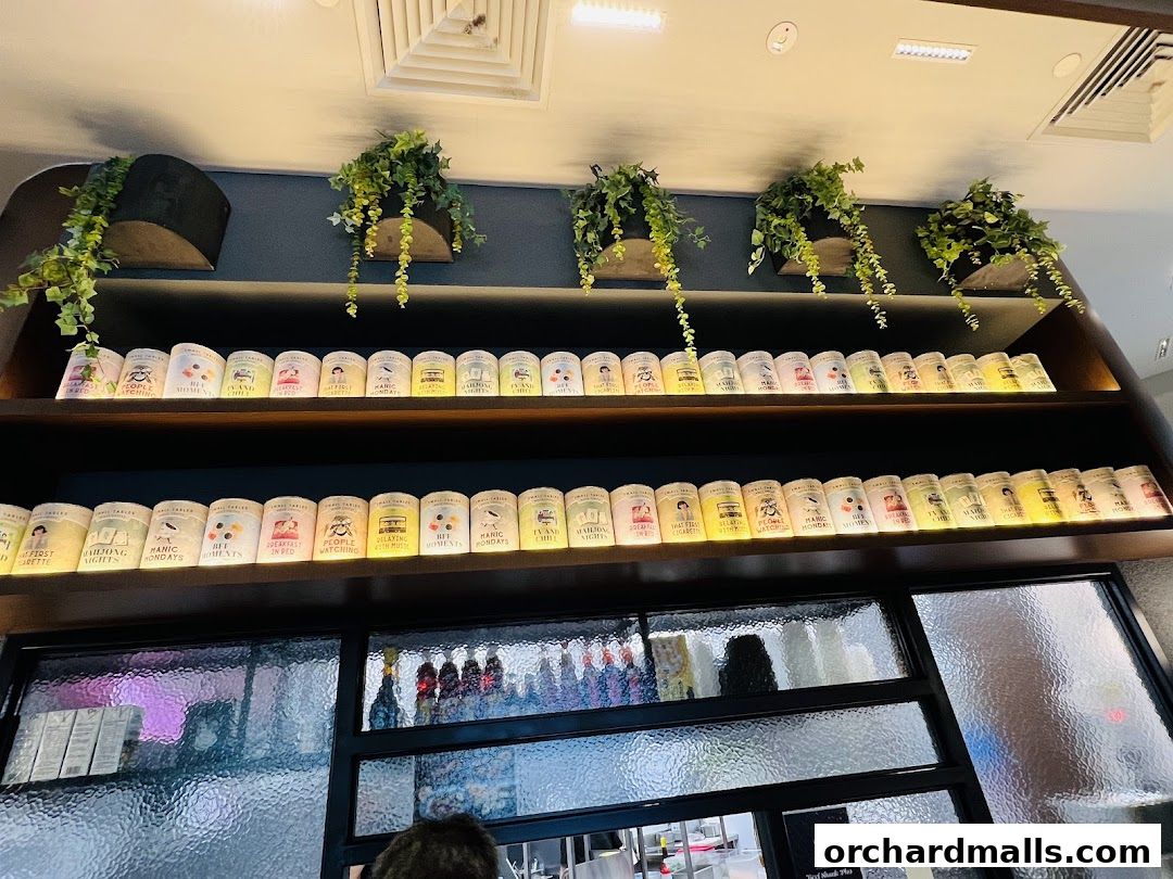 Evolve Innovative Solutions