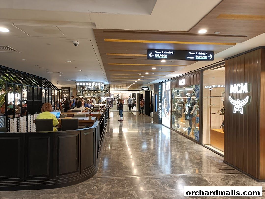 Executive Health Screeners - Minmed Health Screeners