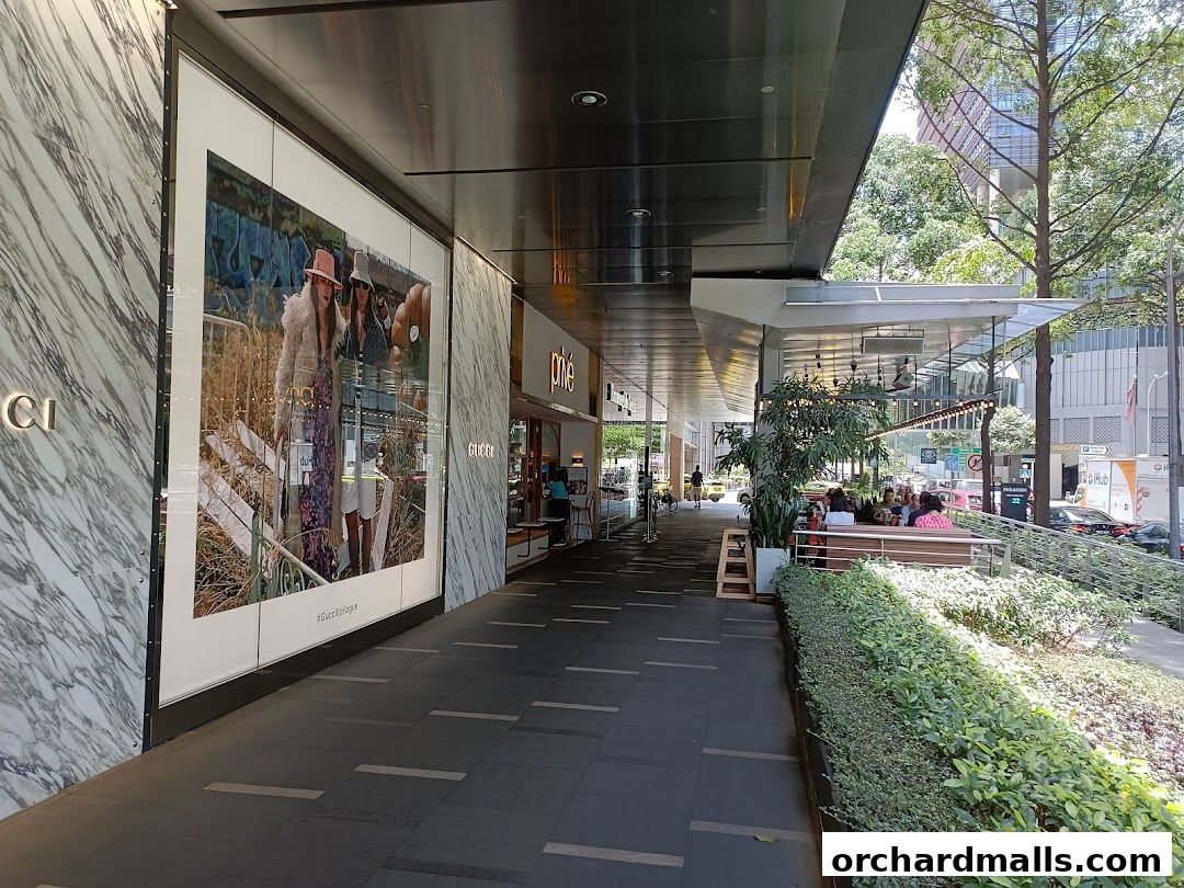 Executive Health Screeners - Minmed Health Screeners