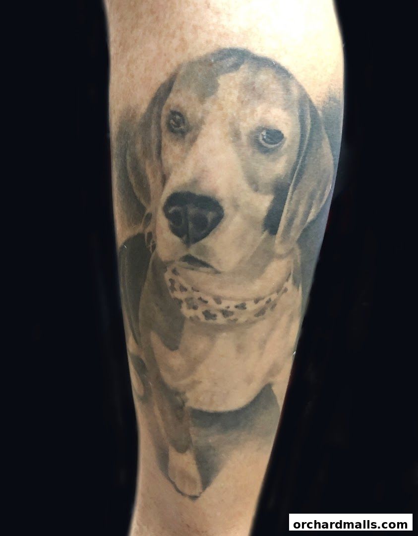 A realistic black and grey tattoo of a beagle dog on a person's arm.