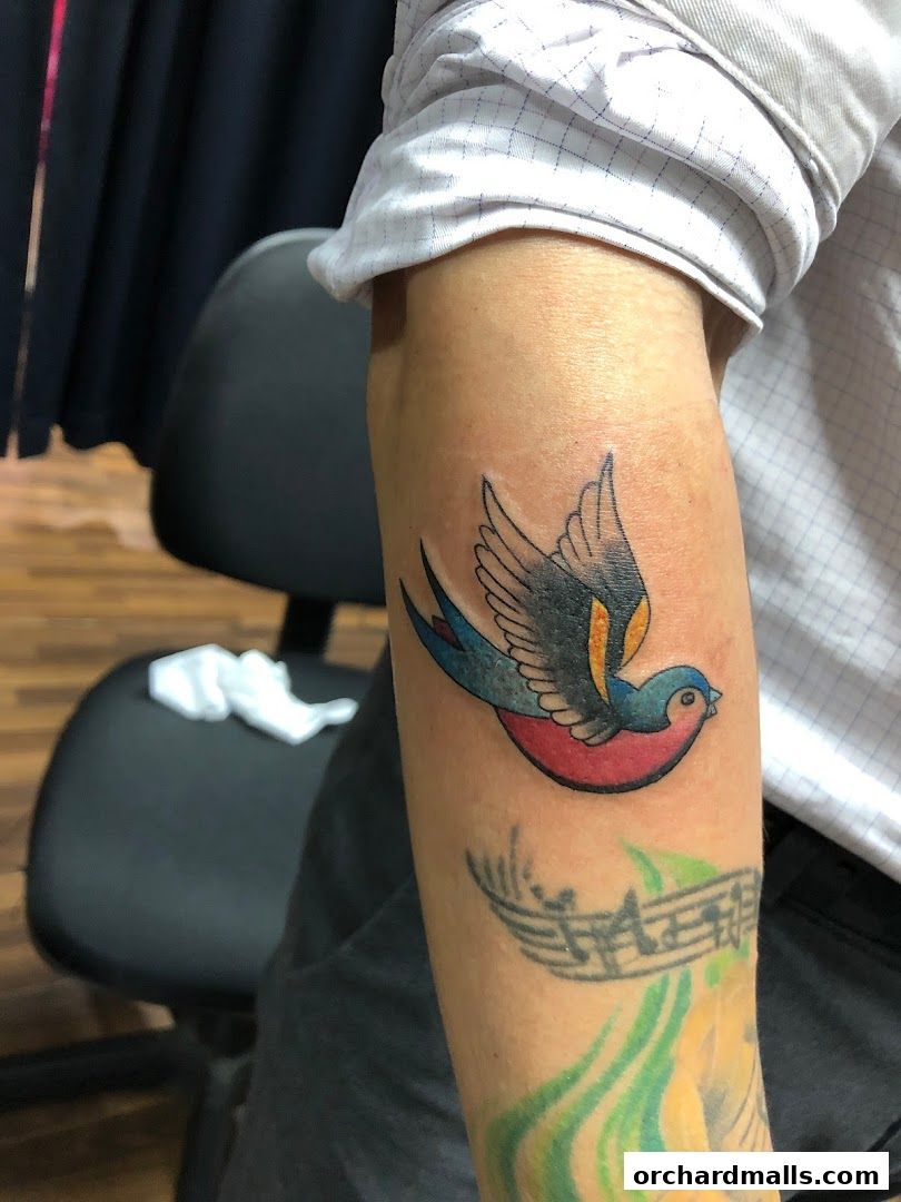 A colorful swallow tattoo on a person's arm, with other tattoos visible below.
