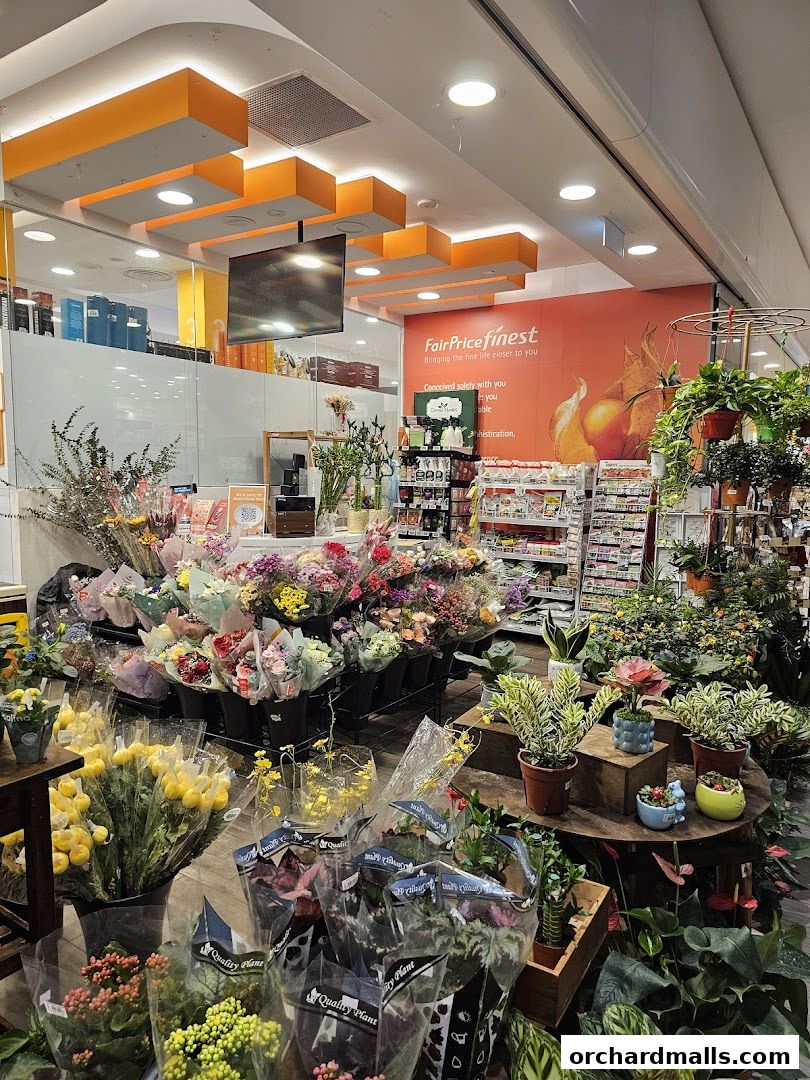 FairPrice Finest Scotts Square