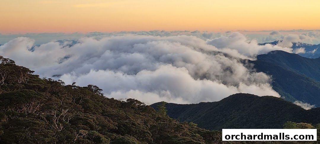 Fayyaz Travels Pte Ltd