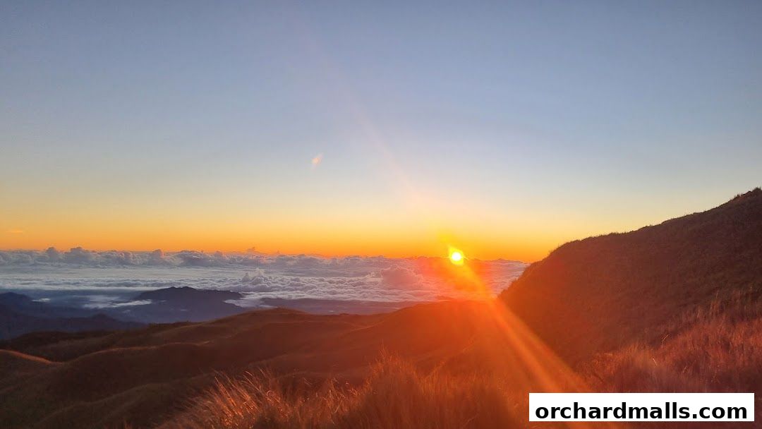 Fayyaz Travels Pte Ltd